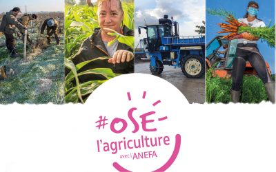 Trouver un emploi, se qualifier dans le milieu agricole : Permanences ANEFA Gironde en Libournais
