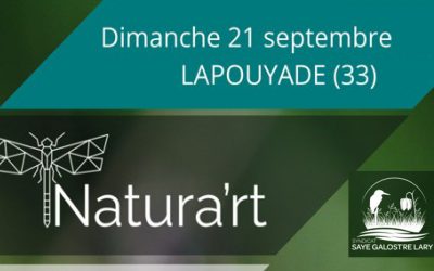 NATURA’RT – Quand l’art rencontre la nature – 21 sept. 2025