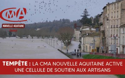 Tempête : la CMA Nouvelle Aquitaine active une cellule de soutien aux artisans