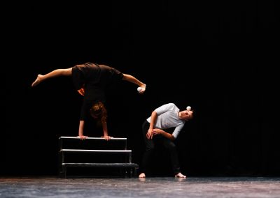 Copie de Bal(les) - copyright-Compagniezalatai